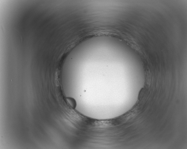 X0000076070378200609220959