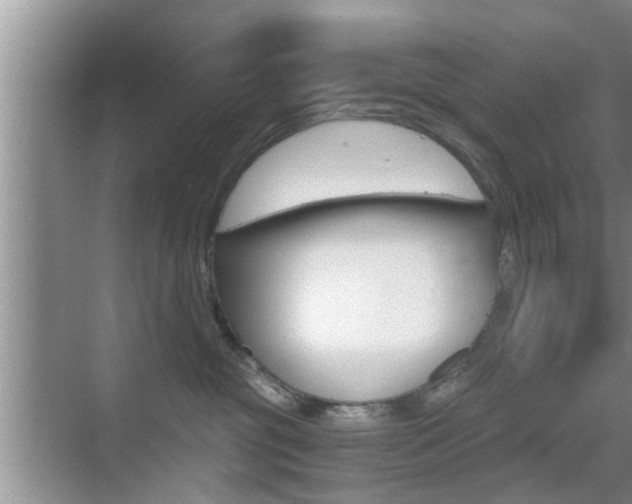 X0000076070381200609220959