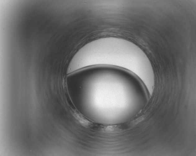 X0000076070382200609221000