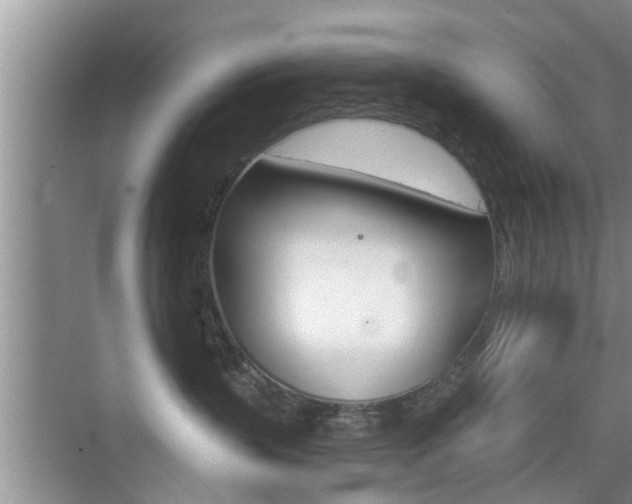 X0000076070383200609221000