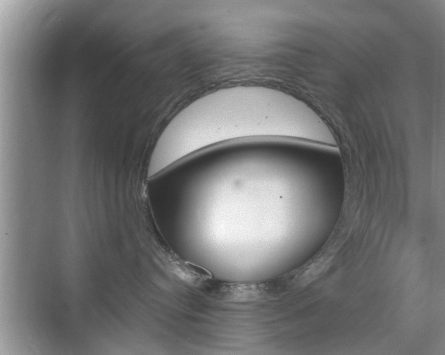 X0000076070384200609221000