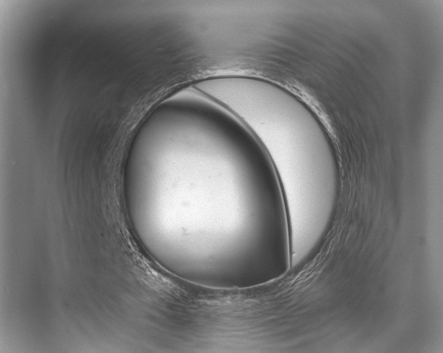 X0000076070385200609220959