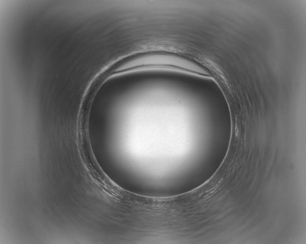 X0000076070388200609220959