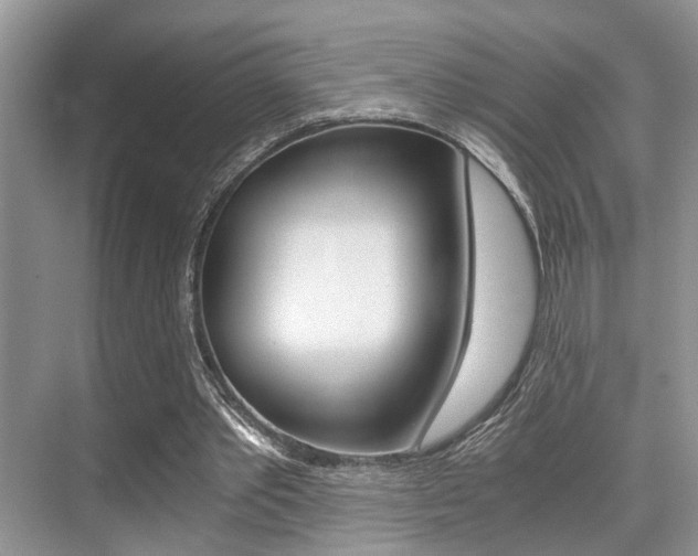 X0000076070389200609220959