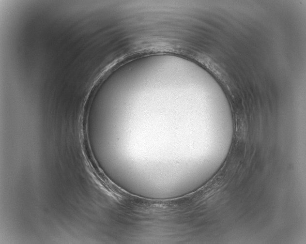 X0000076070390200609220959