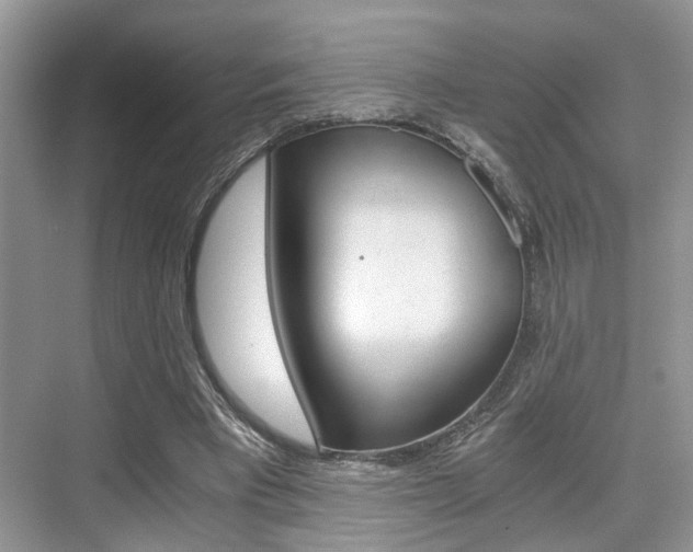 X0000076070393200609220959