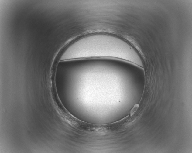 X0000076070395200609220959