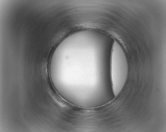 X0000076070398200609220959