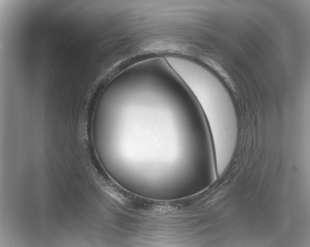 X0000076070399200609220959