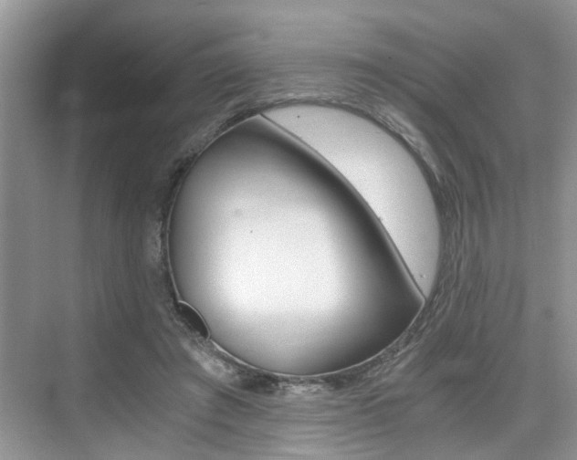 X0000076070401200609220958