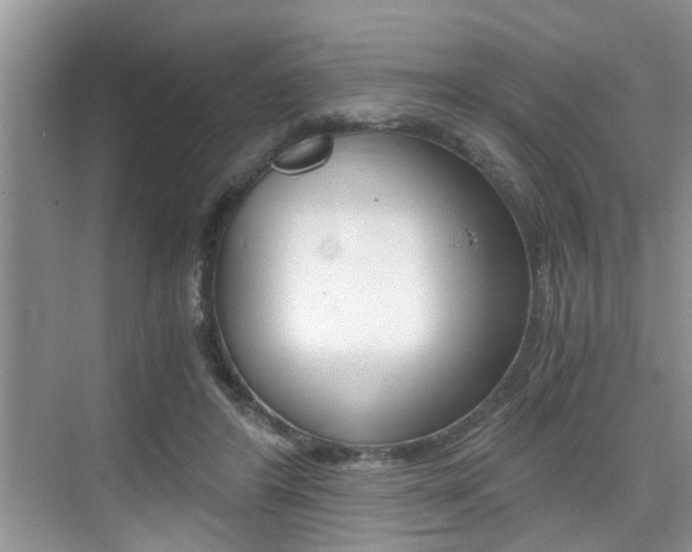 X0000076070404200609220958