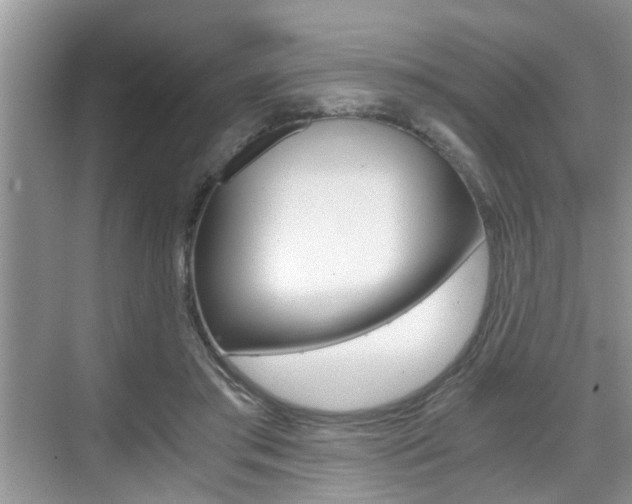 X0000076070405200609220958