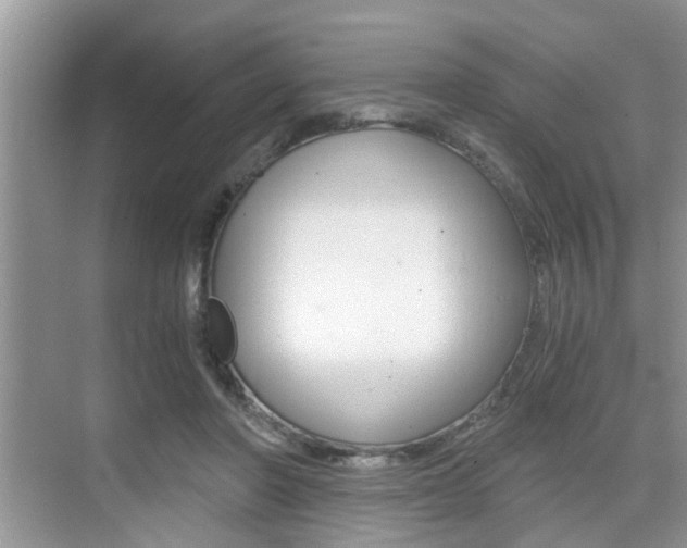 X0000076070406200609220958