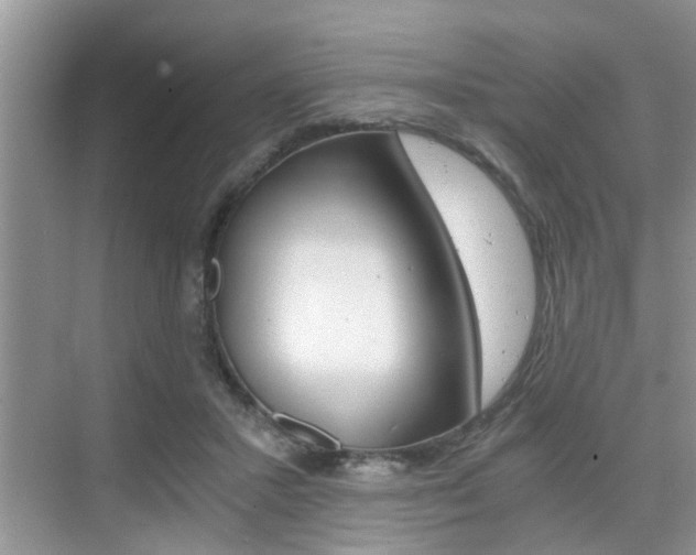 X0000076070407200609220958