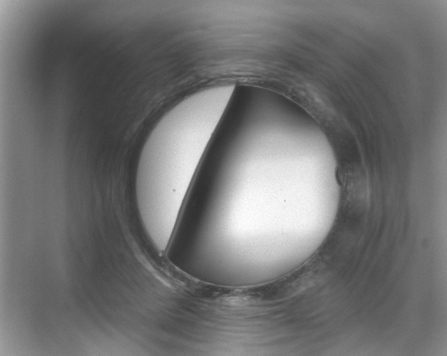 X0000076070408200609220958