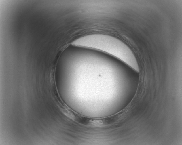 X0000076070409200609220958