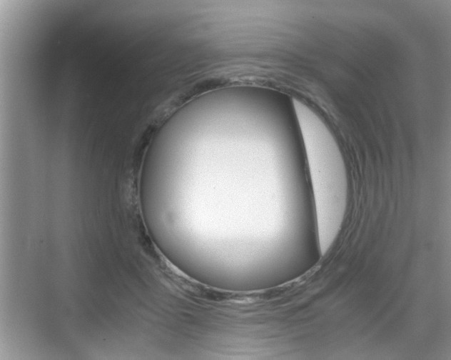 X0000076070411200609220958