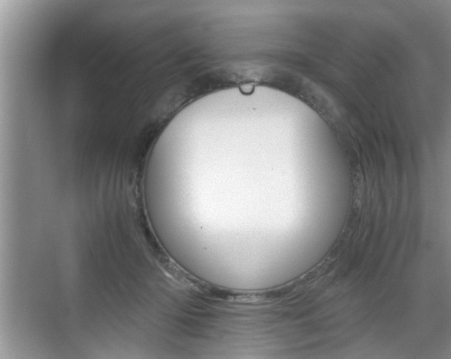 X0000076070414200609220958