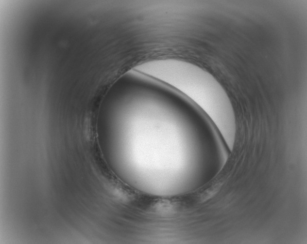 X0000076070416200609220958