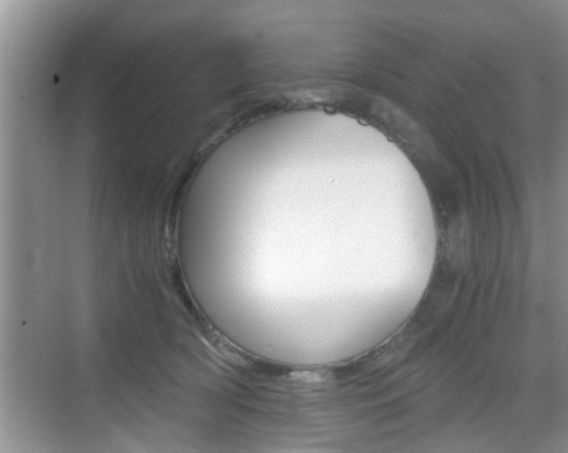 X0000076070418200609220958