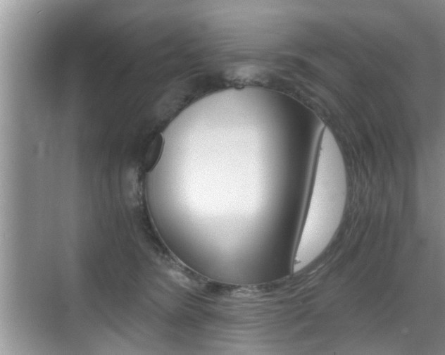 X0000076070420200609220958