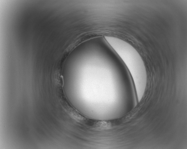 X0000076070421200609220958