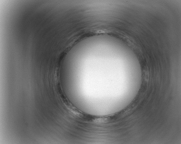 X0000076070422200609220958