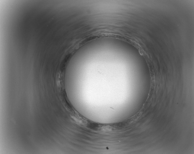 X0000076070423200609220958