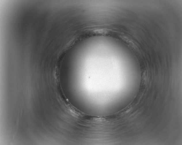 X0000076070424200609220958