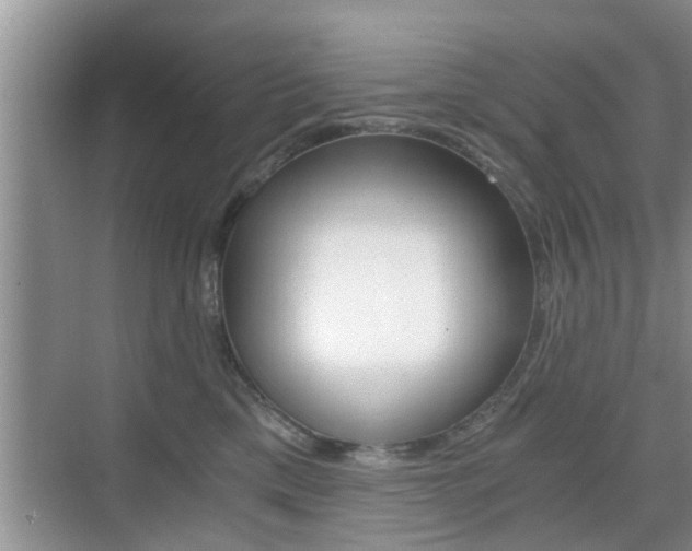 X0000076070425200609220958