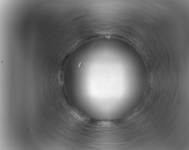 X0000076070428200609220958