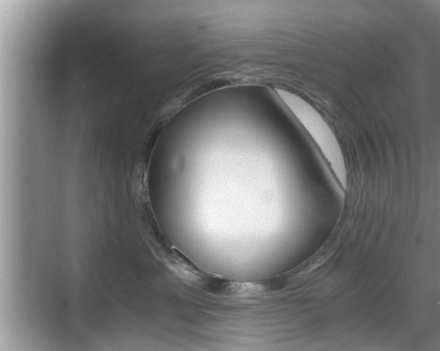 X0000076070429200609220958