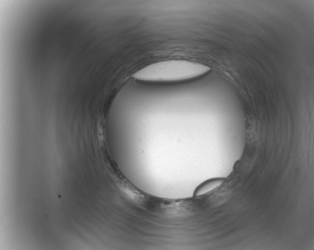 X0000076070430200609220958