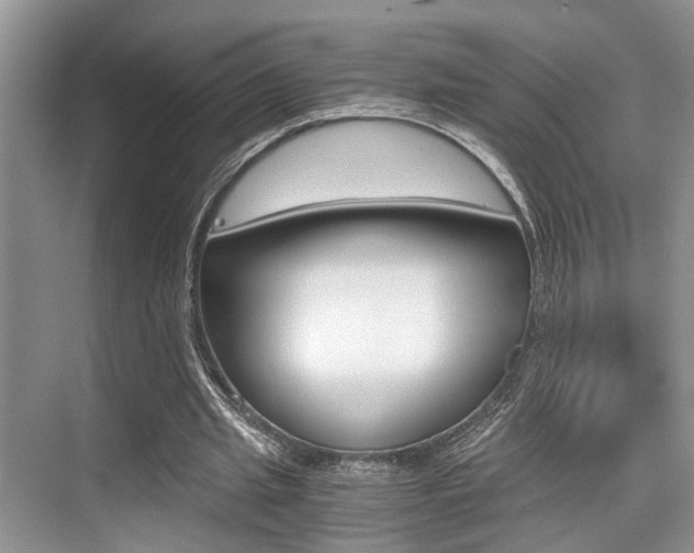 X0000076070437200609220957