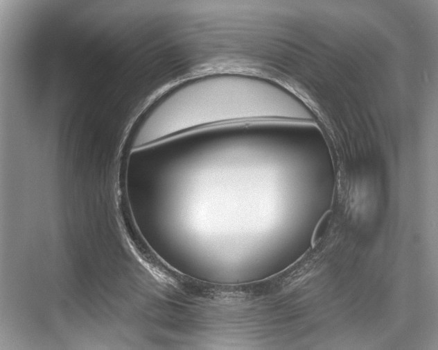 X0000076070438200609220957