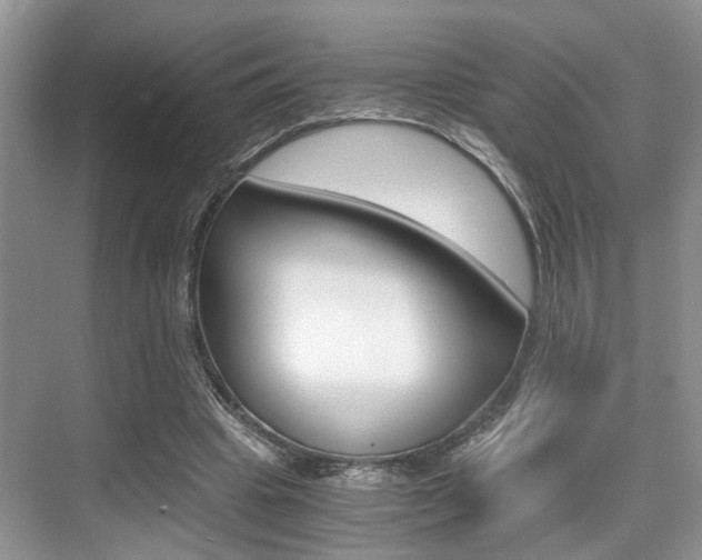 X0000076070441200609220957