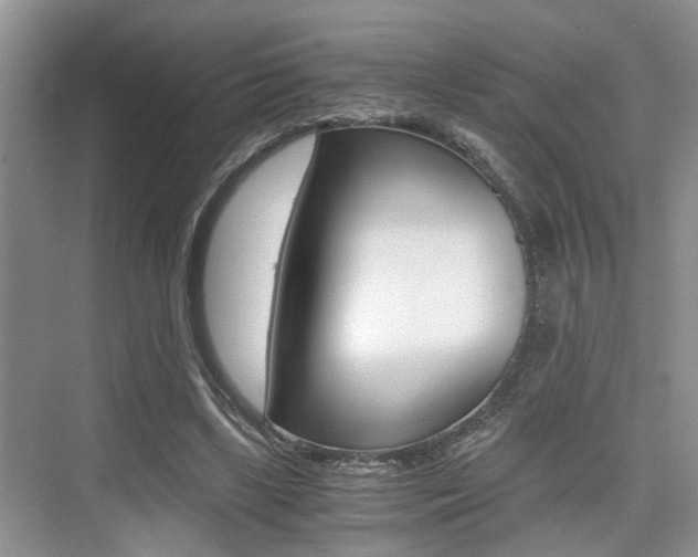X0000076070443200609220957