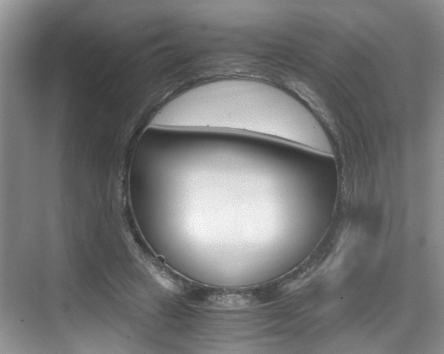 X0000076070449200609220957