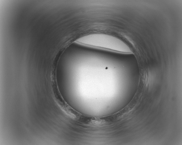 X0000076070455200609220958