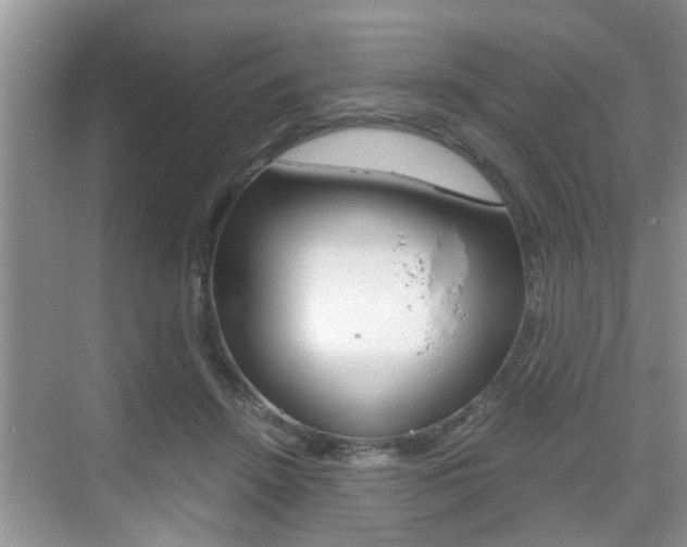 X0000076070456200609220958