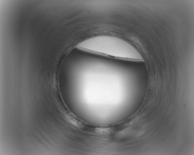 X0000076070457200609220958