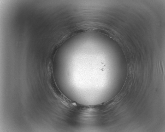 X0000076070460200609220958