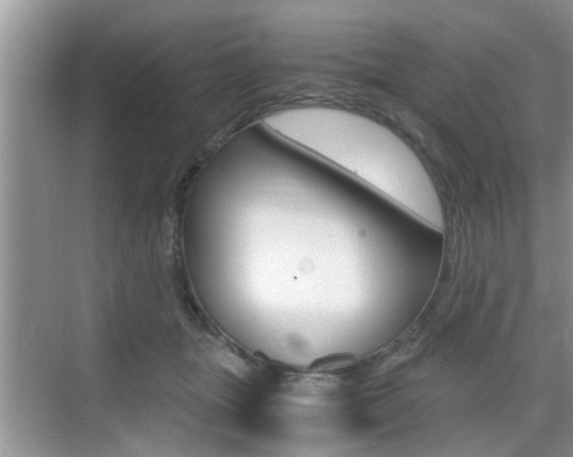 X0000076070463200609220958