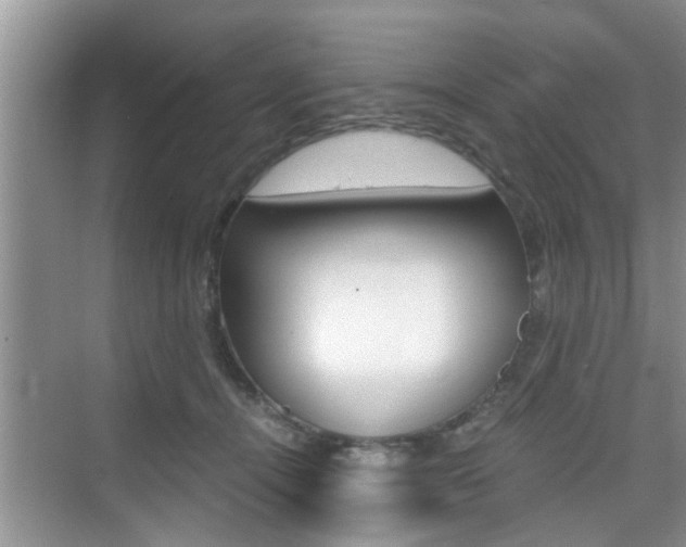 X0000076070464200609220958