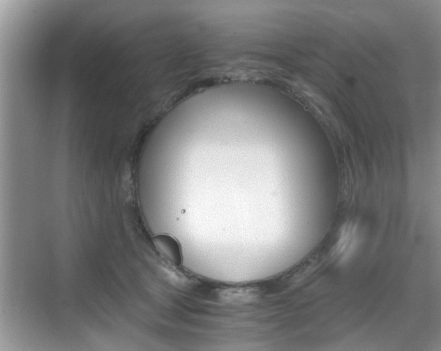 X0000076070465200609220958