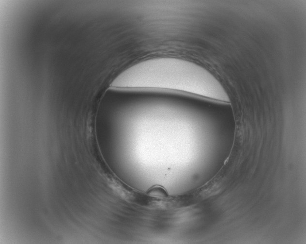 X0000076070466200609220958