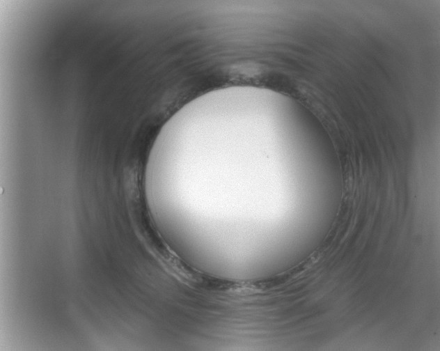 X0000076070468200609220958