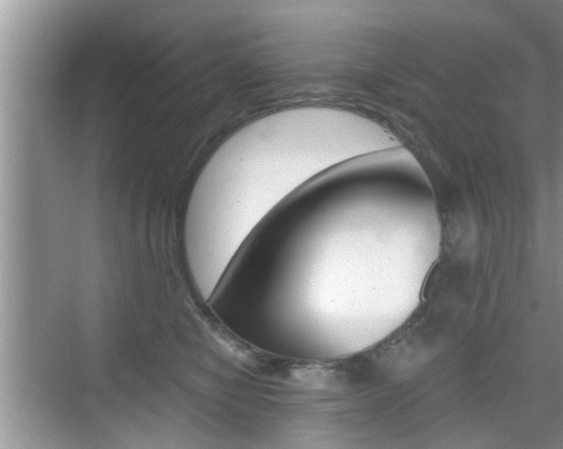 X0000076070470200609220958