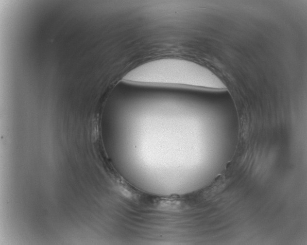 X0000076070471200609220958