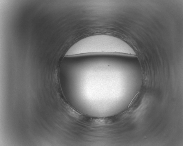 X0000076070473200609220958